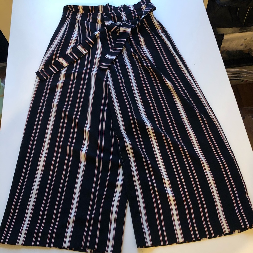 ZARA Wide Leg Culottes Pants